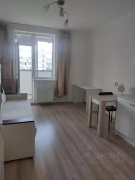 Студия Ленинградская область, Мурино Всеволожский район, ул. Шувалова, ...