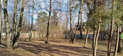 Участок в Московская область, Электроугли Богородский городской округ, ...