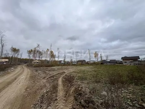 Участок в Тюменская область, Тюменский муниципальный округ, Винзили рп ...