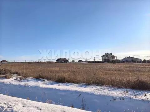 Участок в Амурская область, Благовещенский район, с. Владимировка  ...