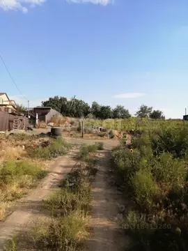 Участок в Астраханская область, Приволжский район, Пульс садовое ...