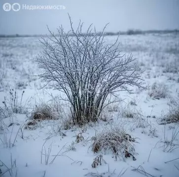 Участок в село Юськи, Бирюзовая улица (1021 м)