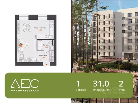 Студия Свердловская область, Екатеринбург Широкая Речка мкр, Лес жилой ...