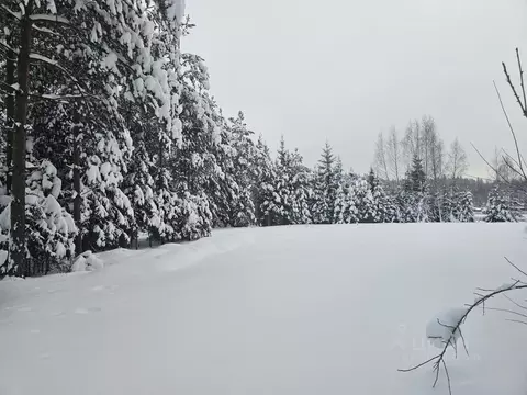 Участок в Московская область, Рузский муниципальный округ, д. ...