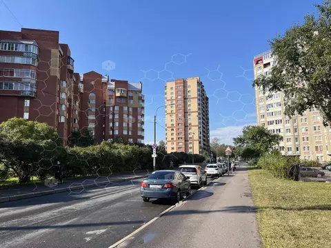 3-к кв. Санкт-Петербург Альпийский пер., 33к1 (103.8 м)