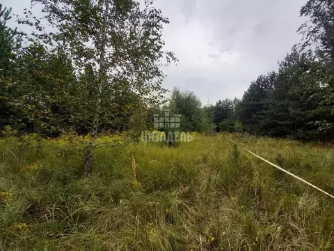 Участок в Воронежская область, Рамонский район, Новоживотинновское ...