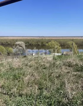 Участок в Воронежская область, Хохольский район, Гремяченское с/пос, ...