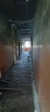 Помещение свободного назначения в Хабаровский край, ...