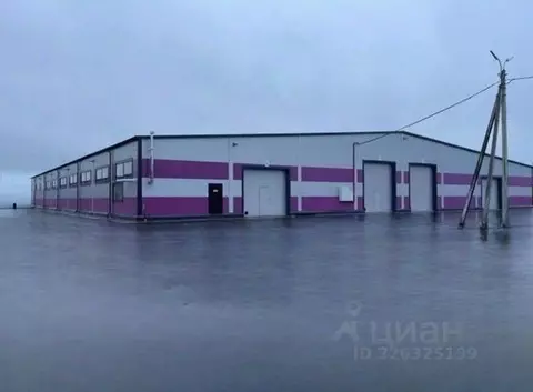 Производственное помещение в Ленинградская область, Всеволожский ...