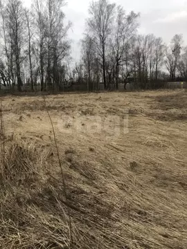 Участок в Брянская область, Брянский район, Отрадненское с/пос, с. ...