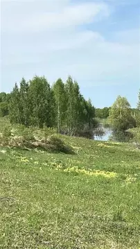 Участок в Башкортостан, Уфимский район, Николаевский сельсовет, д. ...