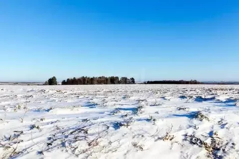 Участок в Брянская область, Брянский район, Чернетовское с/пос, д. ...