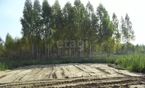 Участок в Ярославская область, Ярославский муниципальный округ, Росток ...