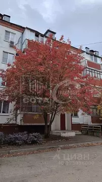 1-к кв. Воронежская область, с. Новая Усмань ул. Славянская, 9А (38.0 ...