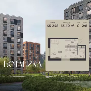 Студия Липецкая область, Липецк Авторский жилрайон, Ботаника жилой ...