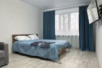 1-к кв. Ставропольский край, Минеральные Воды Советская ул., 74 (30.0 ...