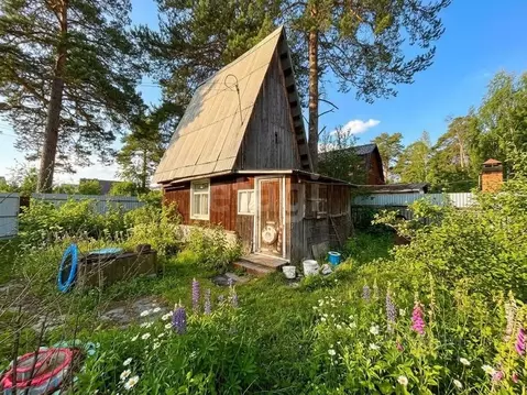 Дом в Тюменская область, Тюмень  (32 м)