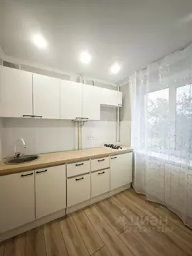 1-к кв. Оренбургская область, Оренбург Алтайская ул., 8 (30.0 м)