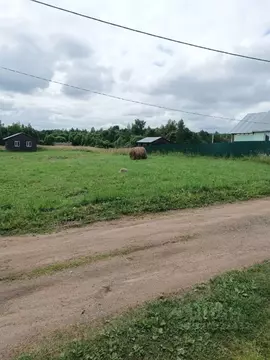 Участок в Новгородская область, Валдайский район, Короцкое с/пос, пос. ...