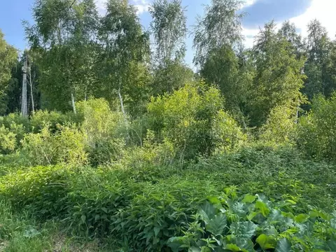 Участок в Тюменская область, Нижнетавдинский район, Моторостроитель ...