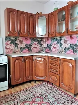 1-к кв. Омская область, Омск Заозерный мкр, просп. Менделеева, 44 ...