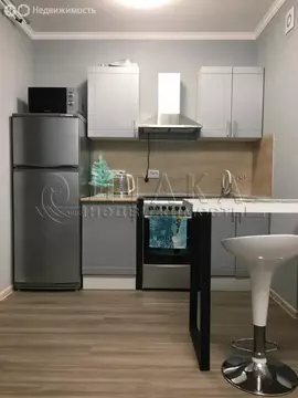 Квартира-студия: посёлок Парголово, Толубеевский проезд, 36к1 (19.1 м)