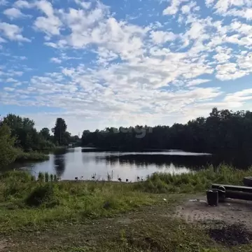 1-к кв. Ленинградская область, Всеволожский район, Куйвозовское с/пос, ...