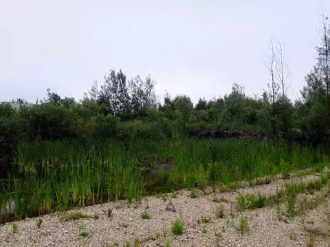 Участок в Московская область, Куровское Орехово-Зуевский городской ...