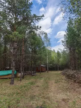 Участок в Алтай, Чемальский район, с. Анос ул. Нагорная (6.0 сот.)