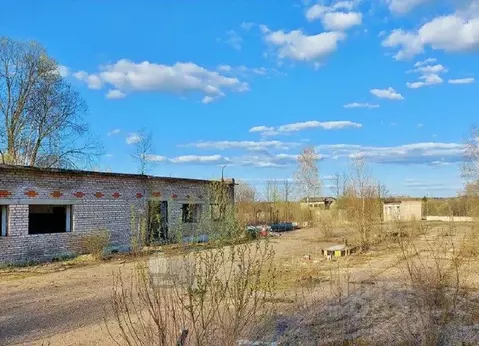 Помещение свободного назначения в Московская область, Можайский ...