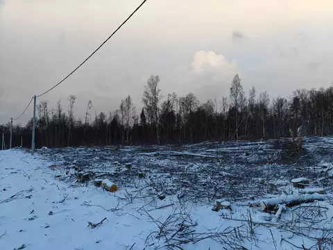 Участок в Ленинградская область, Лужский район, Осьминское с/пос, д. ...