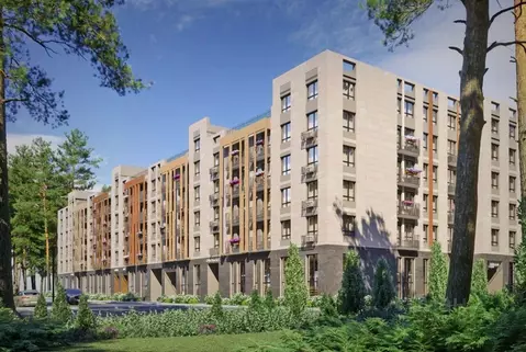 Студия Московская область, Раменский муниципальный округ, Ильинский ...