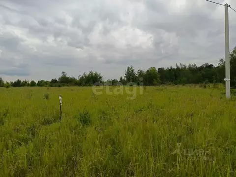 Участок в Воронежская область, Рамонский район, Айдаровское с/пос, ...