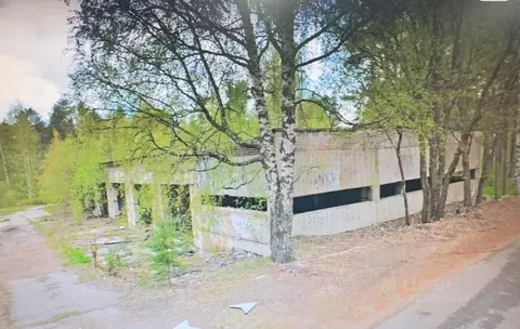 Помещение свободного назначения в Ленинградская область, Приозерский ...