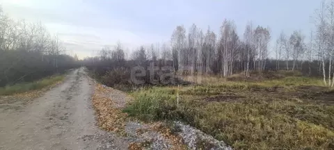 Участок в Тюменская область, Нижнетавдинский муниципальный округ, ...