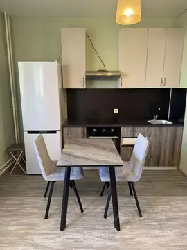 Студия Санкт-Петербург просп. Королева, 69 (25.4 м)