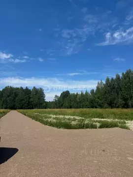 Участок в Ленинградская область, Приозерский район, Мельниковское ...