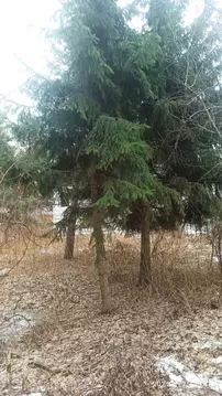 Участок в Московская область, Раменский муниципальный округ, Весна-1 ...