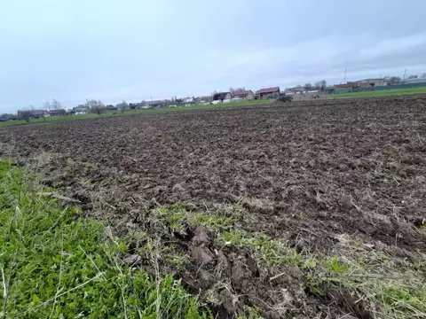 Участок в Ленинградская область, Волосовский район, Рабитицкое с/пос, ...