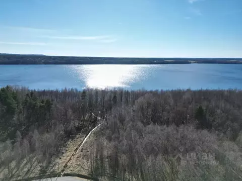 Участок в Ленинградская область, Приозерский район, Красноозерное ...
