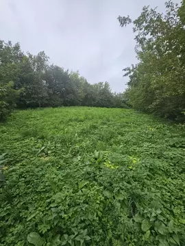 Участок в Московская область, Клин городской округ, пос. Зубово  (9.32 ...