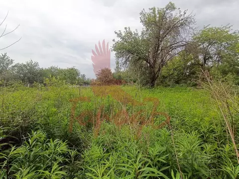 Участок в Орловская область, Орел Дормашевец СНТ, 281А (6.0 сот.)