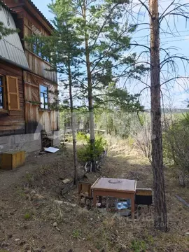 Участок в Бурятия, Улан-Удэ пос. Верхняя Березовка,  (8.0 сот.)