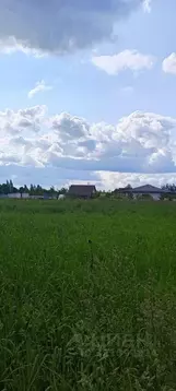 Участок в Новгородская область, Новгородский район, Ракомское с/пос  ...