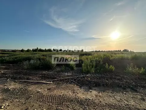 Участок в Марий Эл, Медведевский район, Руэмское с/пос, д. Крутой ...