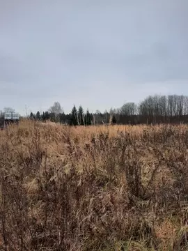 Участок в Московская область, пос. Молодежный  (12.0 сот.)