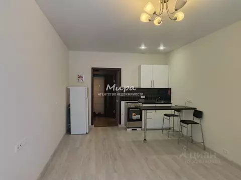 Студия Московская область, Люберцы городской округ, д. Мотяково 65к28 ...