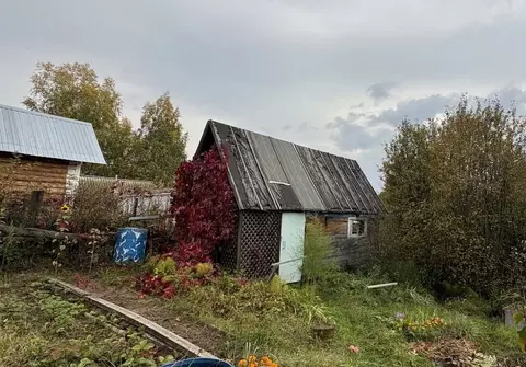 Дом в Пермский край, Пермь № 49 СНТ, 47 (20 м)