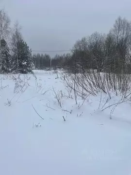 Участок в Московская область, Павлово-Посадский городской округ, д. ...