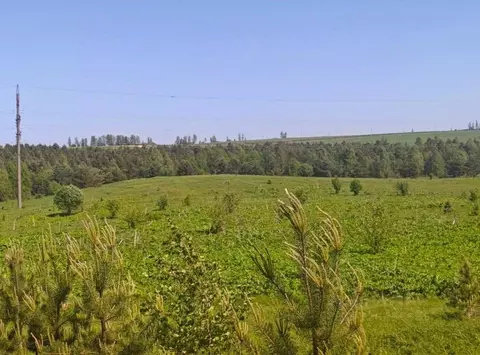 Участок в Московская область, Рузский муниципальный округ, д. Орешки  ...